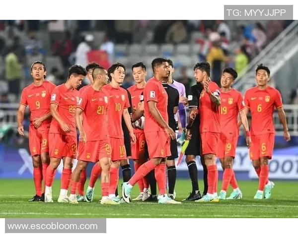 武汉排球队状态引发热议球迷对表现和战术产生分歧