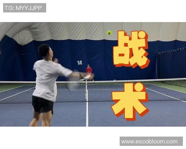 深圳网球队控制打法深度解析与战术运用探讨