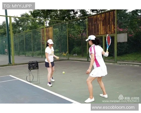 西安网球队的节奏与激情探讨：聚焦网球运动的魅力与发展