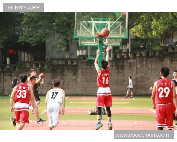 重庆篮球队灵活性排名第一最新篮球灵活性TOP10榜单揭晓