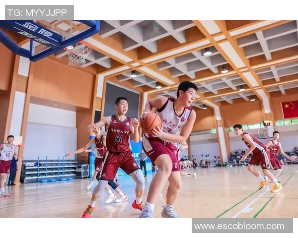 篮球速度排行榜揭晓北京篮球队荣获第三名展现强劲实力