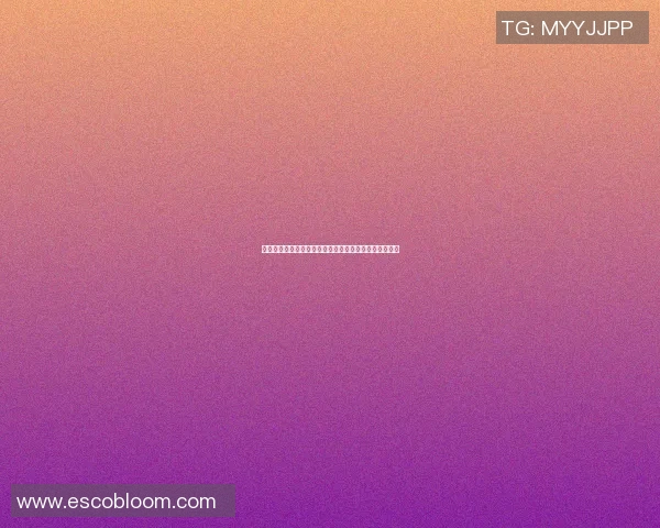 足球明星卡片查看软件助你轻松获取球员信息与交易动态