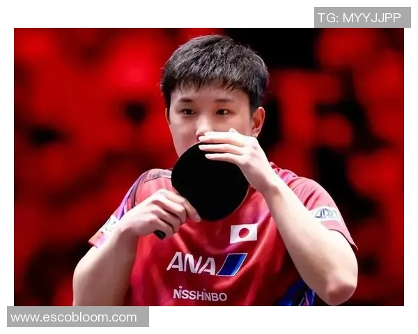 北京乒乓球队在世界杯预选赛中的奋斗与突破之路全景回顾