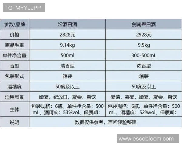 南京排球队在大师赛中的技术表现分析与点评