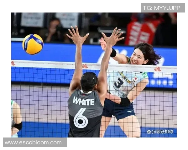 南京排球队速度对比分析揭示团队优势与潜力的深度解读