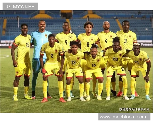 卡塔尔足球明星出场名单揭秘与分析助力球队夺冠之路