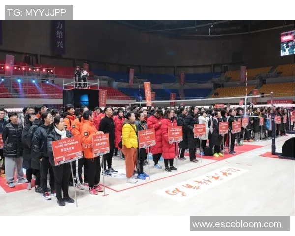 广州排球队状态分析聚焦近期比赛表现与未来发展方向